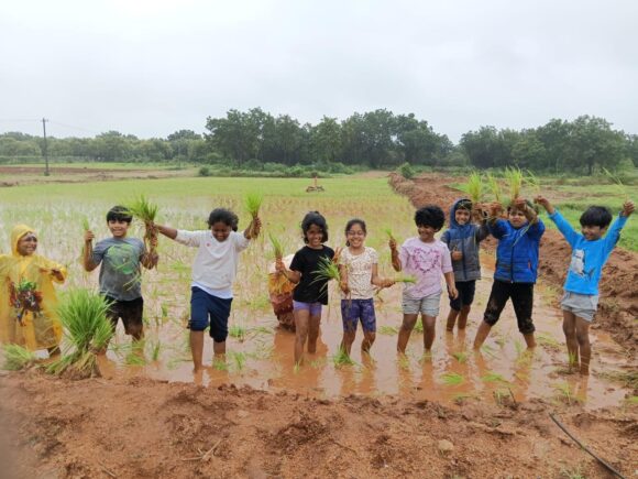 From Classroom to Paddy Fields
