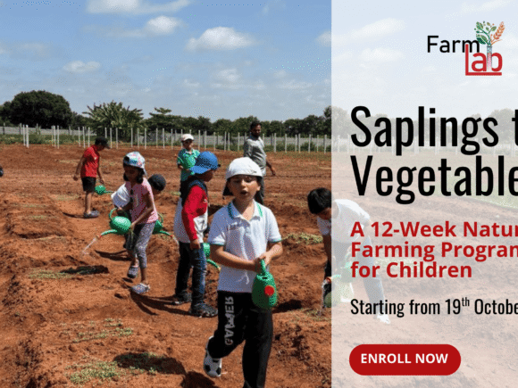 Saplings to Vegetables: A 12-Week Natural Farming Program for Children