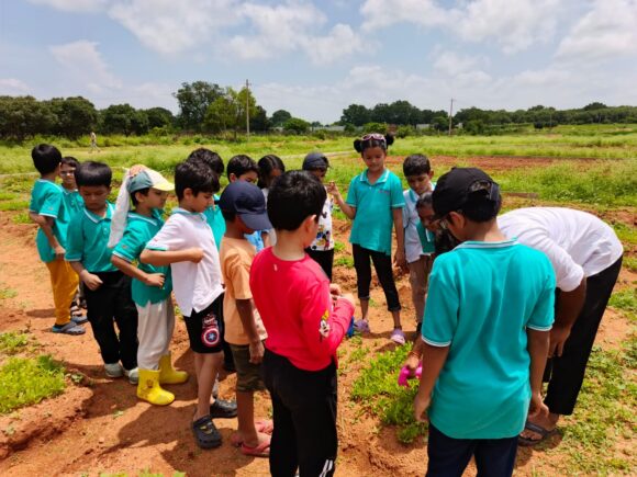 Day 4 at the Farm Lab – Pests, Natural Care, and Mulching
