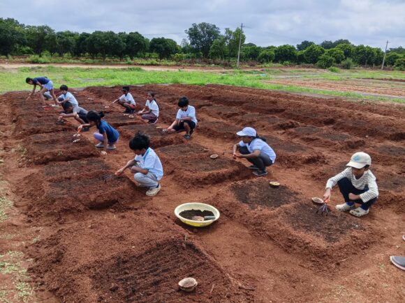 Seeds to Greens: A Joyful Beginning at Farm Lab