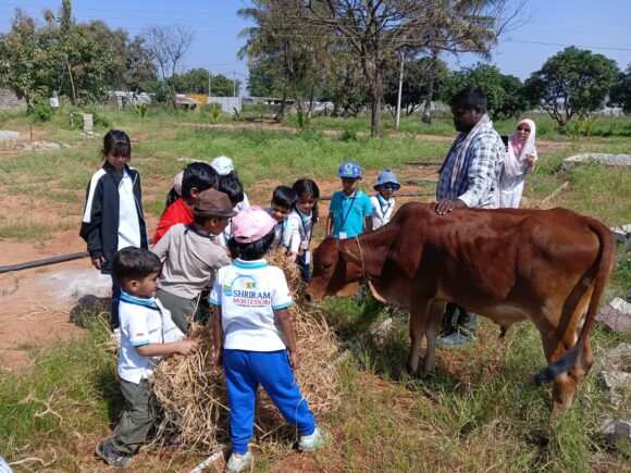 A Children’s Day Field Trip at Farm Lab