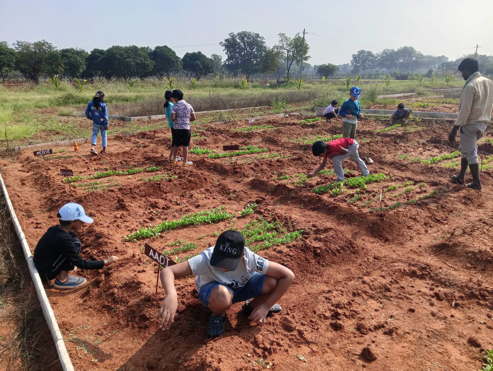 Session 3 of the Seeds to Vegetables Program