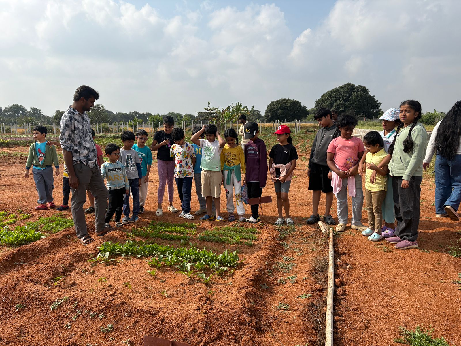 Seeds to Vegetables – Session 4 – Neem Oil Application & Mulching