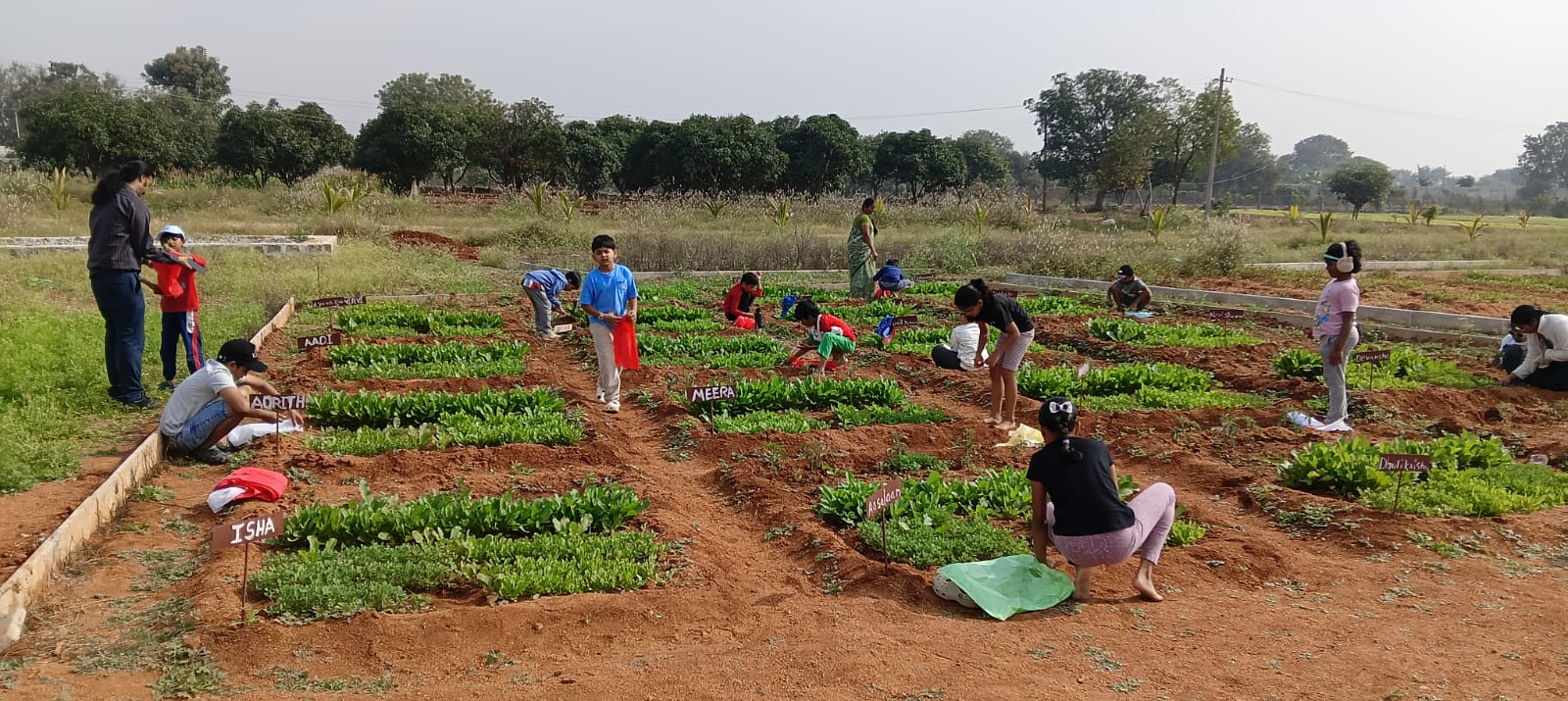 A Harvest Day Filled With Wonder