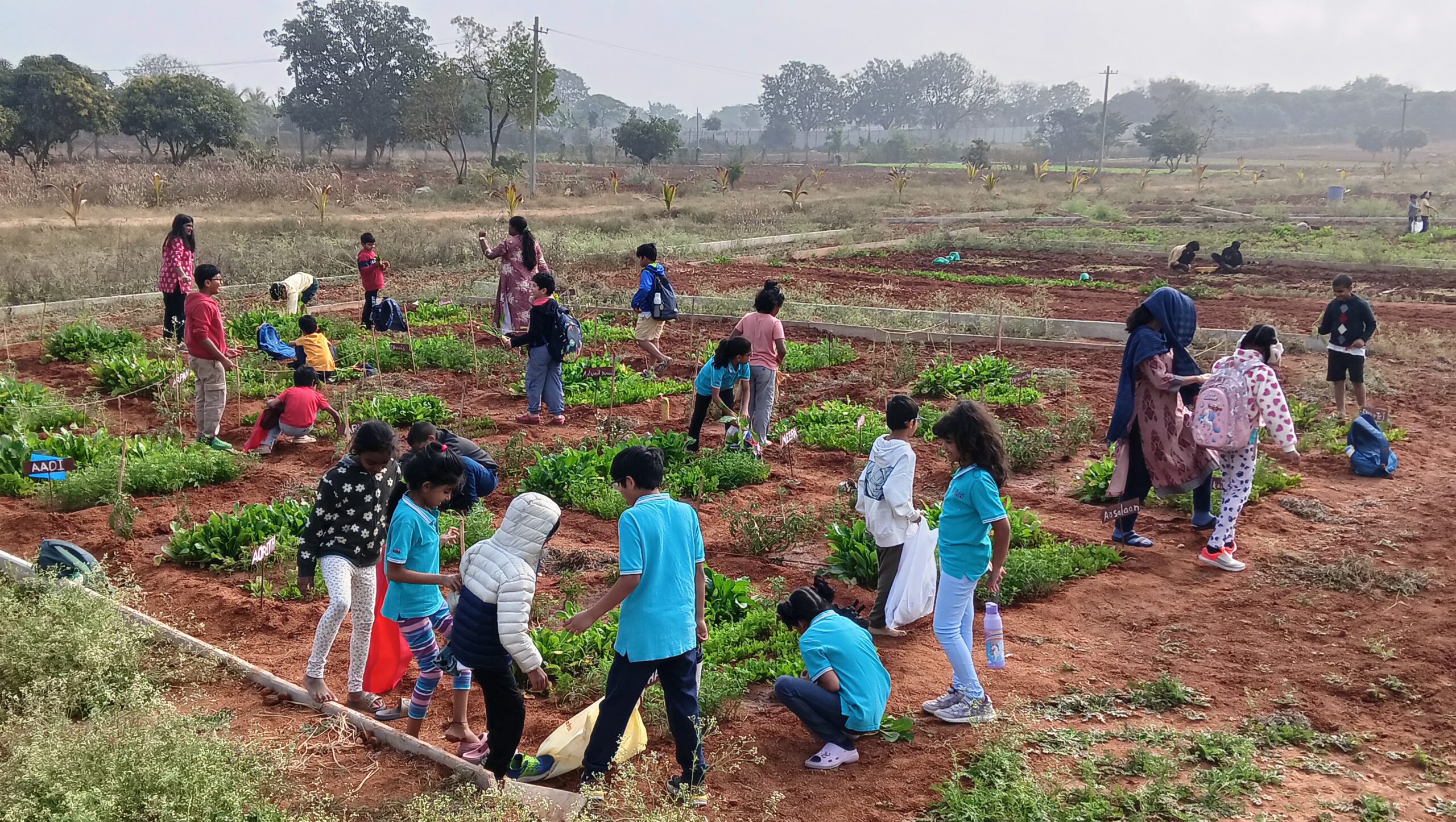 Little Farmers, Big Harvest: A Day of Joy at FarmLab